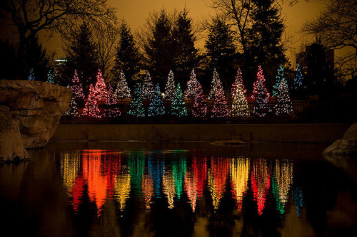 Boas Festas E Um 2015 Mais&nbsp;Colorido