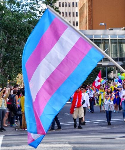 Bloco de Esquerda Avança Com Projecto De Lei Que Permitirá Mudança De Sexo Aos 16&nbsp;Anos