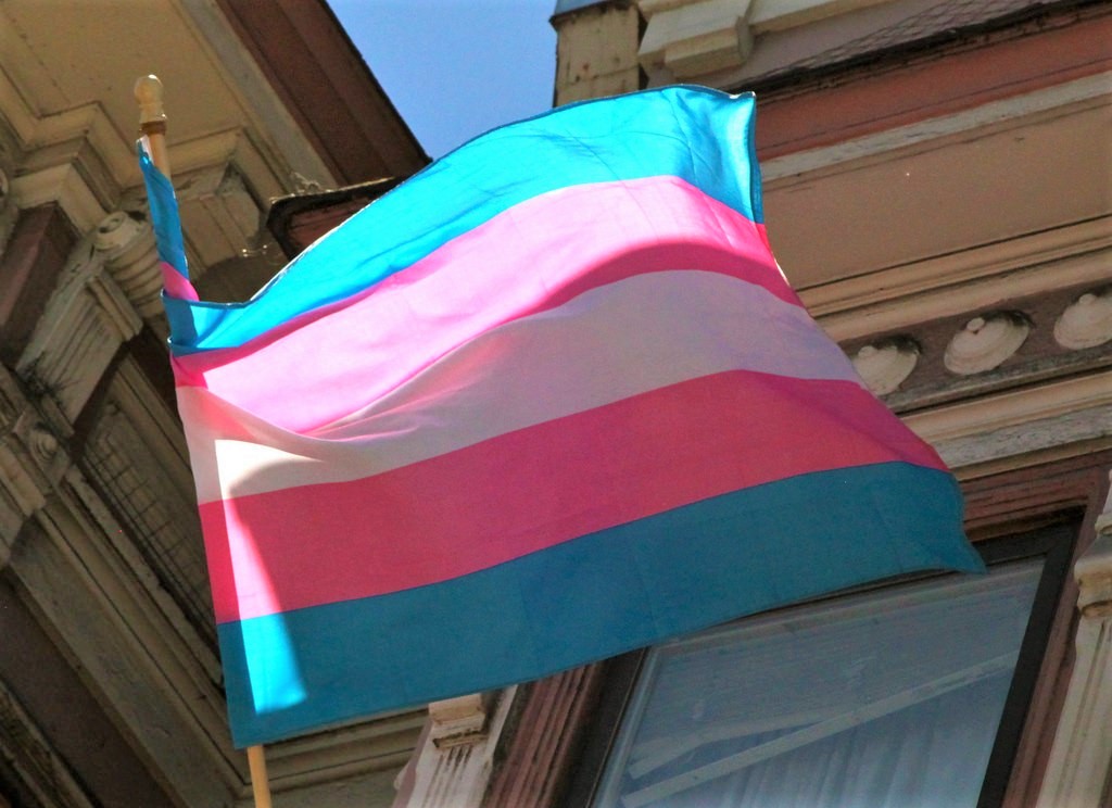 PAN Pretende Assegurar A Autodeterminação De&nbsp;Género