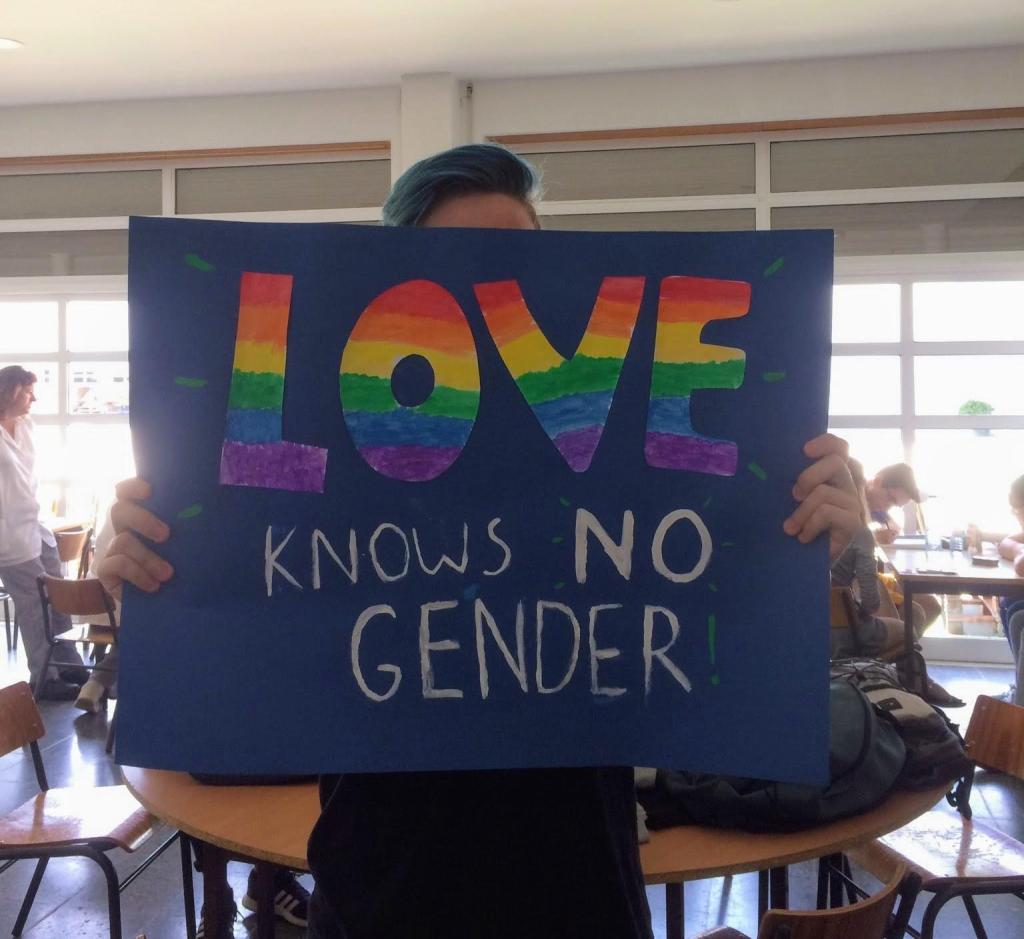 Em Vagos Uma Escola Manifestou-se Contra a&nbsp;Homofobia