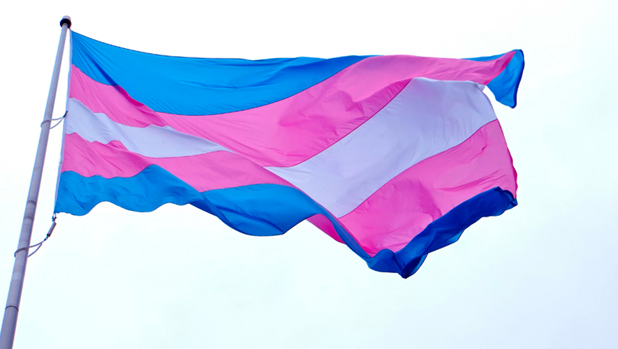 Auto-Determinação de Género no&nbsp;Parlamento