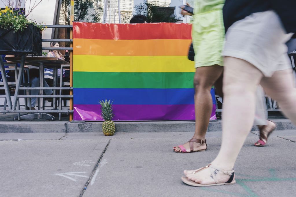 Eleições 2019: Madeira Pride dinamiza debate LGBTI para entender que medidas apresentam&nbsp;partidos