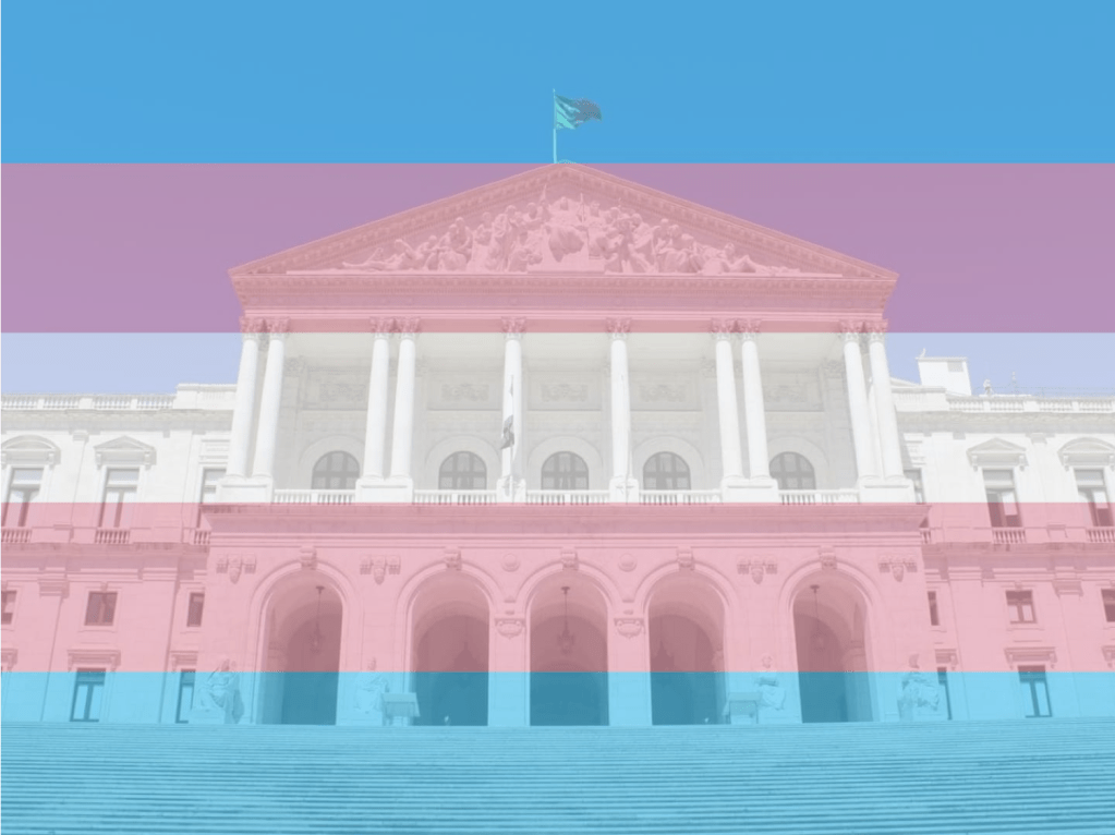 Dia da Memória Trans celebrado pela Assembleia da República (tirando o CDS e o&nbsp;Chega)