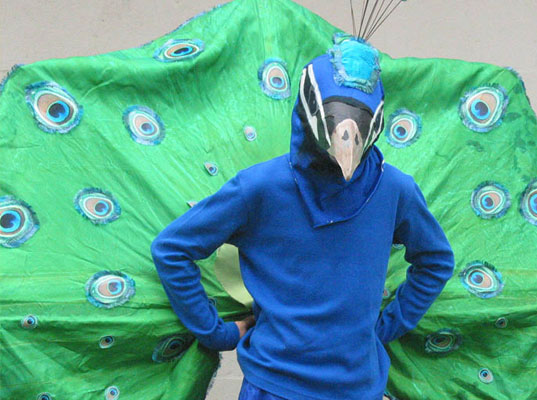 peacock-man