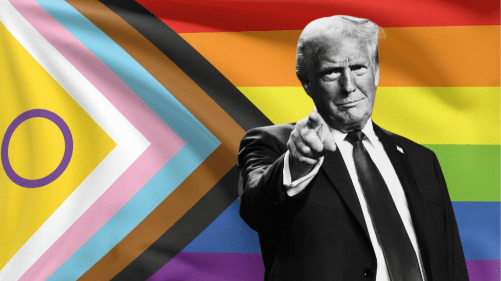 O Retorno de Trump: O que está em risco para os Direitos LGBTQ+ e outras liberdades fundamentais nos EUA e no Mundo?