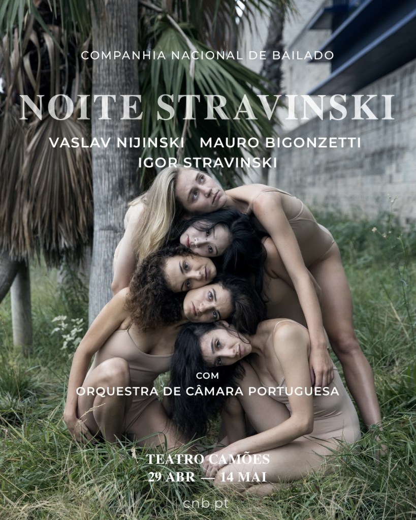 Poster Ensaio Geral Solidário Companhia Nacional de Bailado Noite Stravinsky