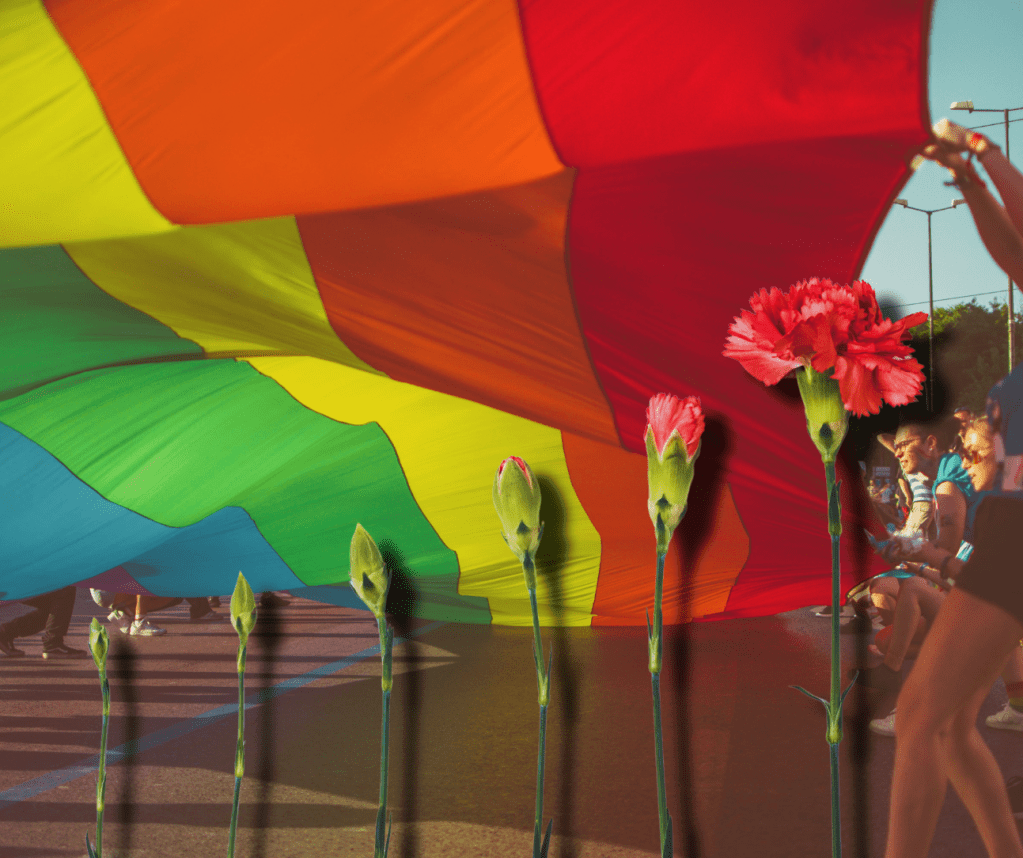 7 Cravos para Celebrar os 50 Anos da Revolução: Marcha de Viseu Pelos Direitos LGBTQIA+ anuncia edição em 2024 com foco no 25 de Abril