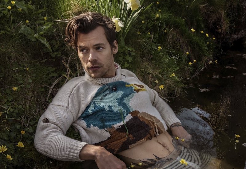 Harry Styles falou sobre a pressão que sente para rotular a sua sexualidade: "É bizarra e desatualizada"