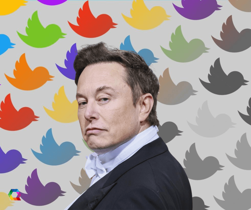 O Twitter De Elon Musk legitimará ataques a pessoas Queer