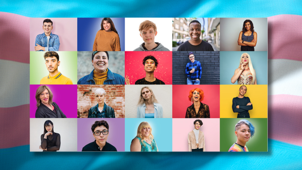 Relatório sobre Direitos Humanos de Pessoas Trans: Maior visibilidade e reconhecimento legal em contraste com discriminação e&nbsp;violência