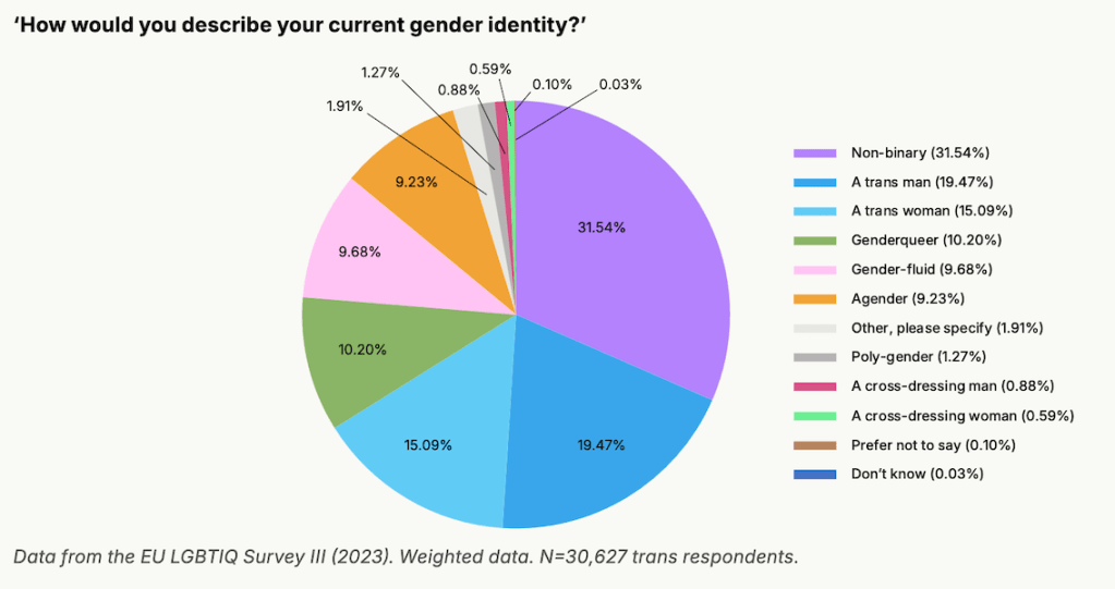 "Como descreveria a sua identidade de género atualmente?" 
- Trans human rights, realities, and resilience in Europe.

 O maior estudo europeu sobre pessoas trans traça o retrato mais completo de sempre. O que revela sobre a Europa em que vivemos?