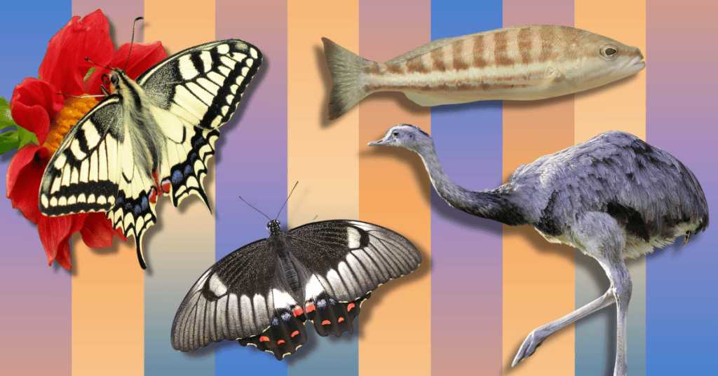 A natureza nunca foi assim tão binária: o lado queer das observações de&nbsp;Darwin